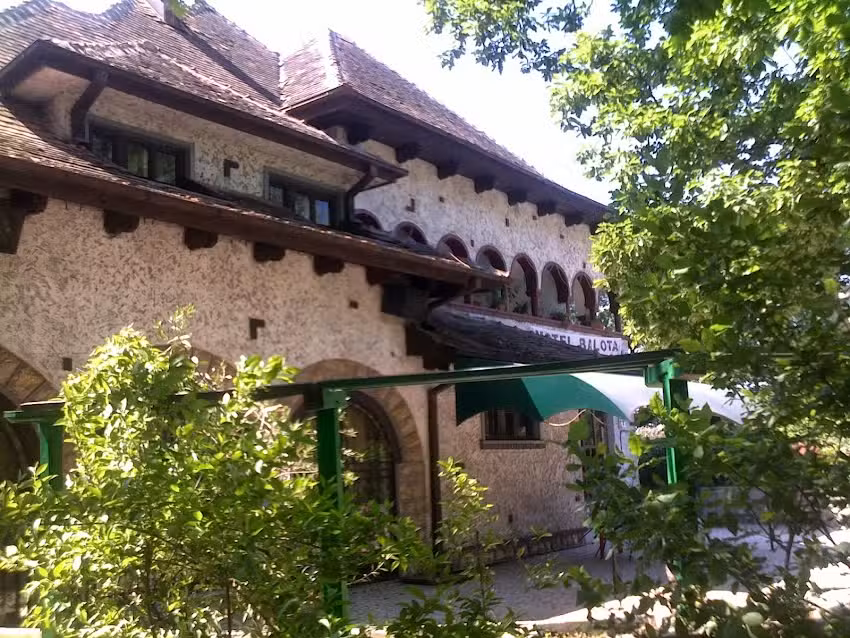 Motel Hanul Balota