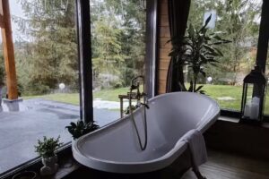 Mountain View Apuseni