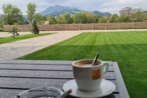 Mountain View Ceahlau