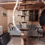 Mountain View Chalet