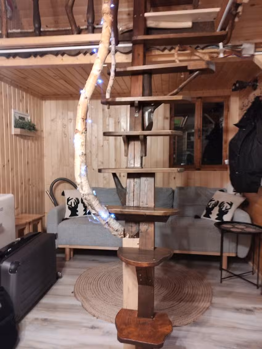 Mountain View Chalet