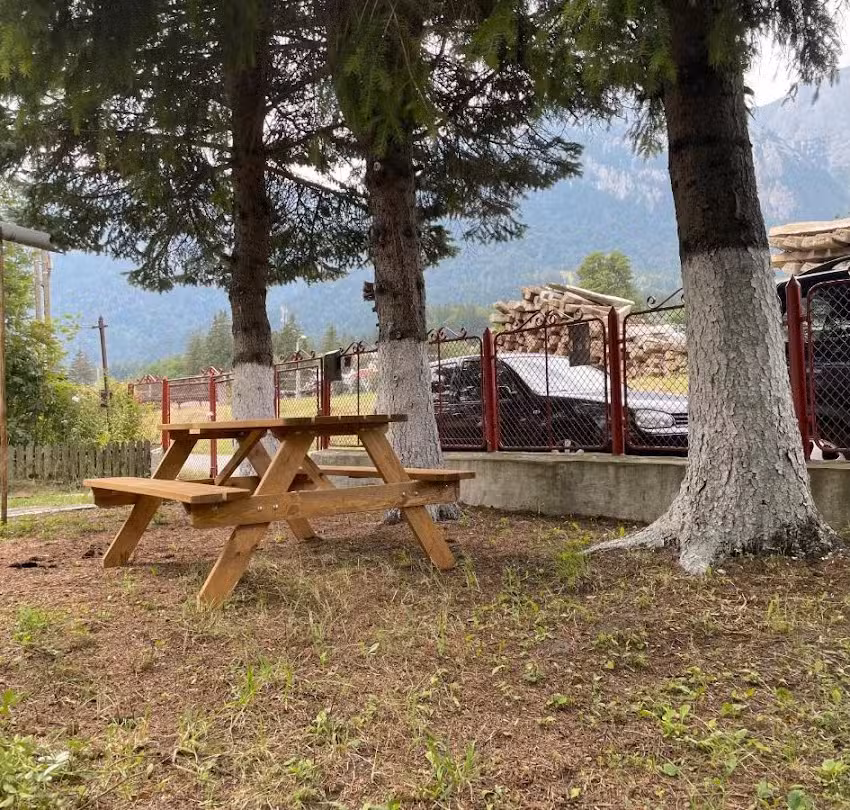 Mountain VISTA, Bușteni