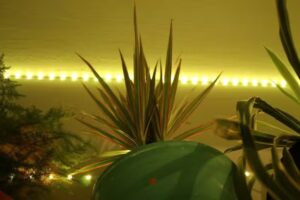 Nature-inspired ataraxy