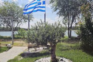 Nautica Club Harsova