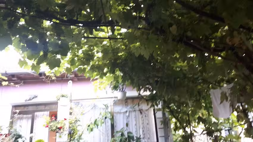 Nea Ion Camping și Cazare