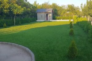 Nichita Summer House