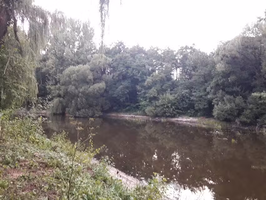 Noroieni