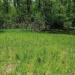 Ocolul Silvic Târgoviște UP VII Gura Ocniței