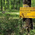 Ocolul Silvic Târgoviște UP VII Gura Ocniței