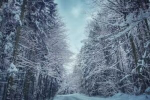 Ohana Boutique Hotel