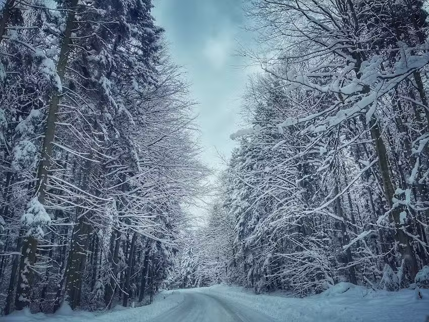 Ohana Boutique Hotel