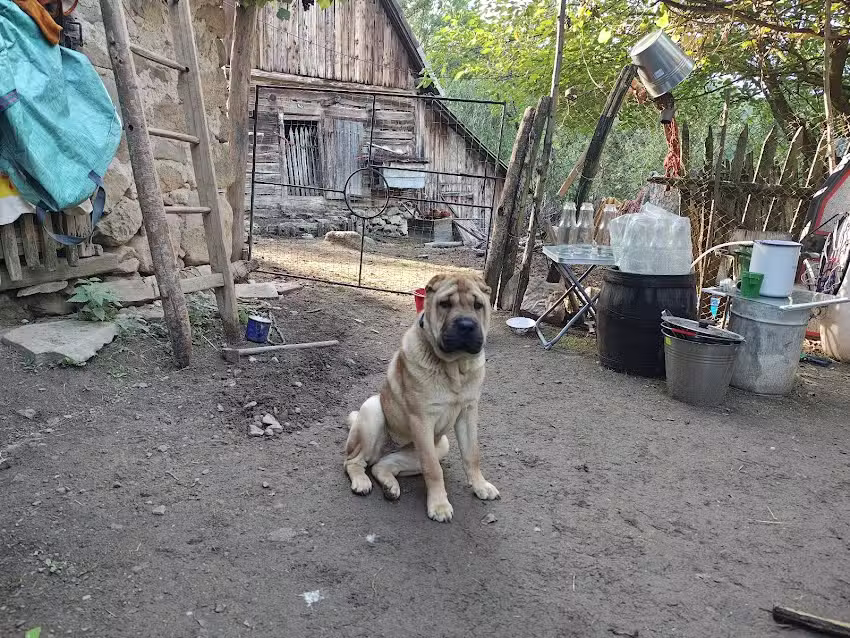 Old Biker’s Retreat