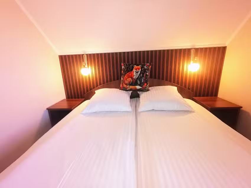 Olimpia Panzió / Pensiunea Olimpia / Pension Olimpia