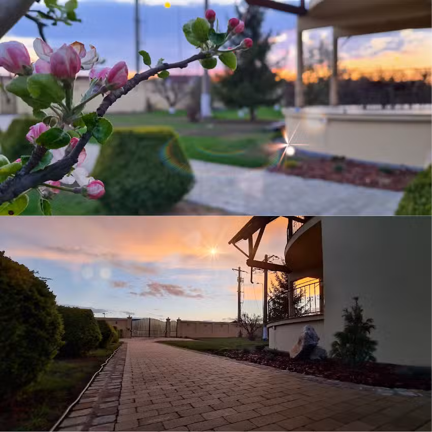 Orchard Villa Brasov