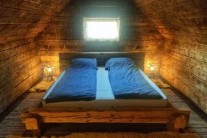 Organicle Lodge & Tiny