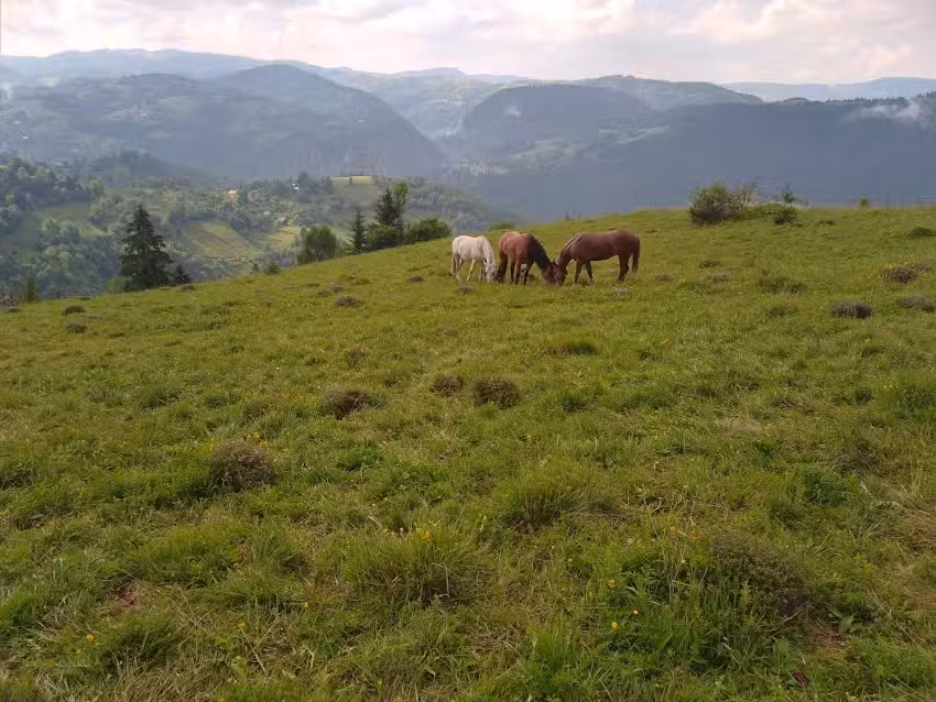 Oxygen Arena Resort S.R.L.