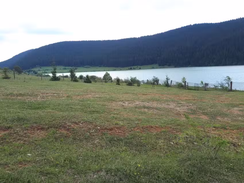 Ozon Turist Izvoru Mureșului