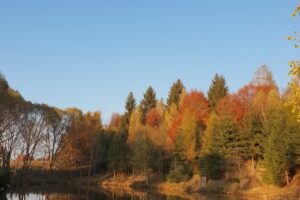 Pálpatakai Vendégház