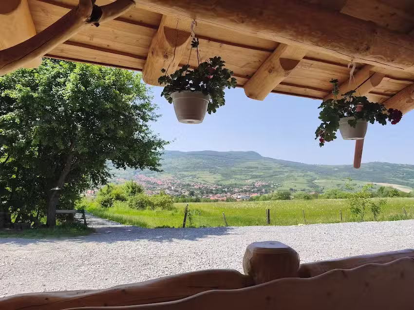 Panoráma gasztropont