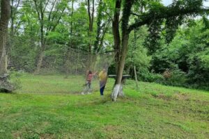 Parcare Rulote – Gurasada Park