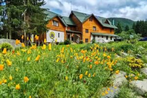 Păstrăvăria Viştişoara