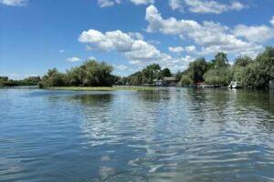 Patlageanca Colț de Rai