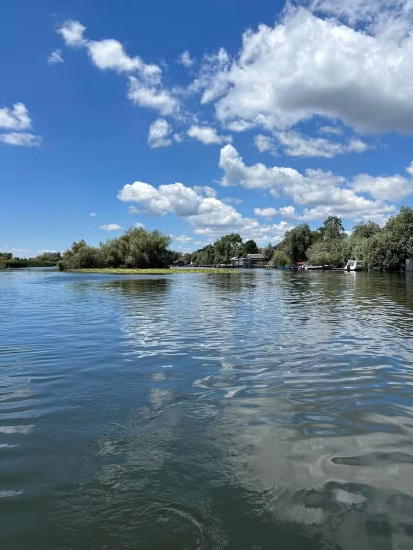 Patlageanca Colț de Rai