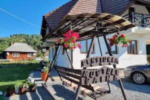 Pension Mountain Găina