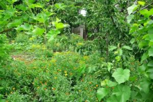 Pensiune agroturistica „La Stan”