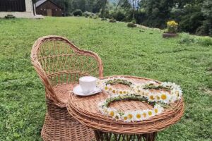 Pensiune Agroturistică Popasul Moților