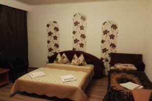 Pensiune Aurica Leșe