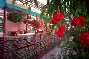 Pensiune Dumbrava Minunata