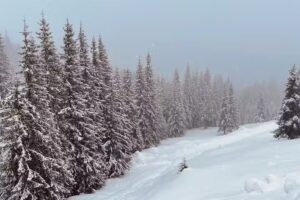 Pensiune/Restaurant Bella Vista