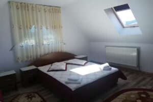 Pensiune Restaurant Teo