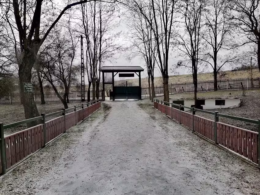 Pensiune și camping Lovasfogadó