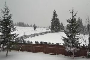 Pensiune Smida Nr. 3