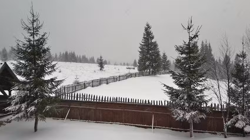 Pensiune Smida Nr. 3