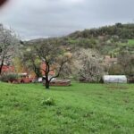 Pensiune Vila Iancului – cazare Bran