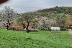 Pensiune Vila Iancului – cazare Bran