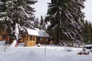 Pensiunea 12 Apostoli, Poiana Negrii