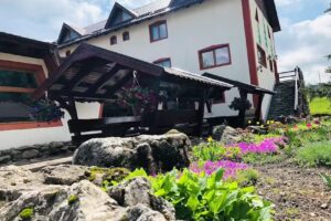 Pensiunea 3 Brazi Zarnesti