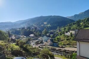 Pensiunea 3flori de Colț