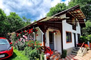 Pensiunea Ade Vintileasca