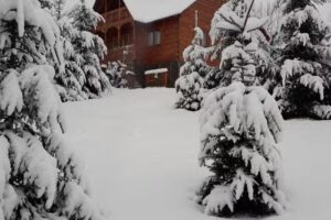 Pensiunea Adriana Poienile Izei