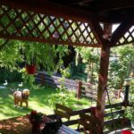 Pensiunea „Agnes”