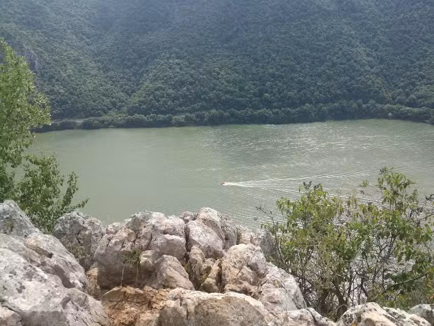 Pensiunea Agroturistica Casa Palade