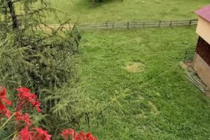 Pensiunea Agroturistică Gianina