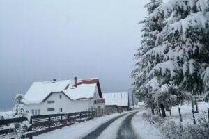 Pensiunea Agroturistică La Stan