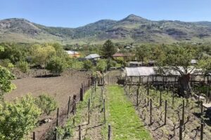 Pensiunea Agroturistică Matetovici