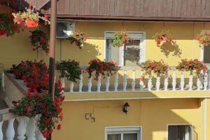 Pensiunea Alexander – Cazare Arad